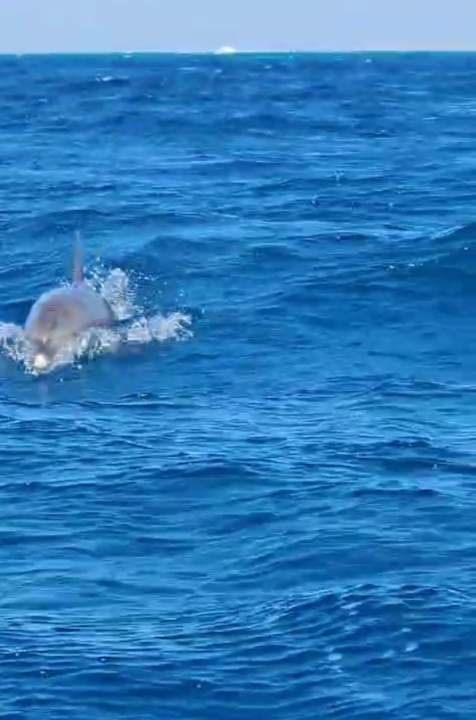 Sport & Freizeit Hotel Three Corners Ocean View prestige - Adults only