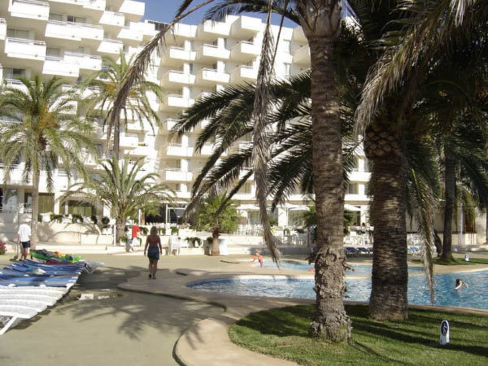 Die Pool- Anlage Aparthotel Playa Dorada