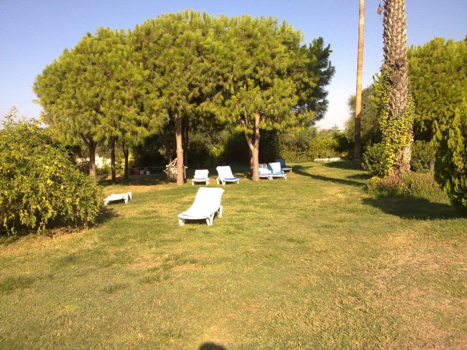 Liegewiese am Ruhepool Club Turtas Beach Hotel