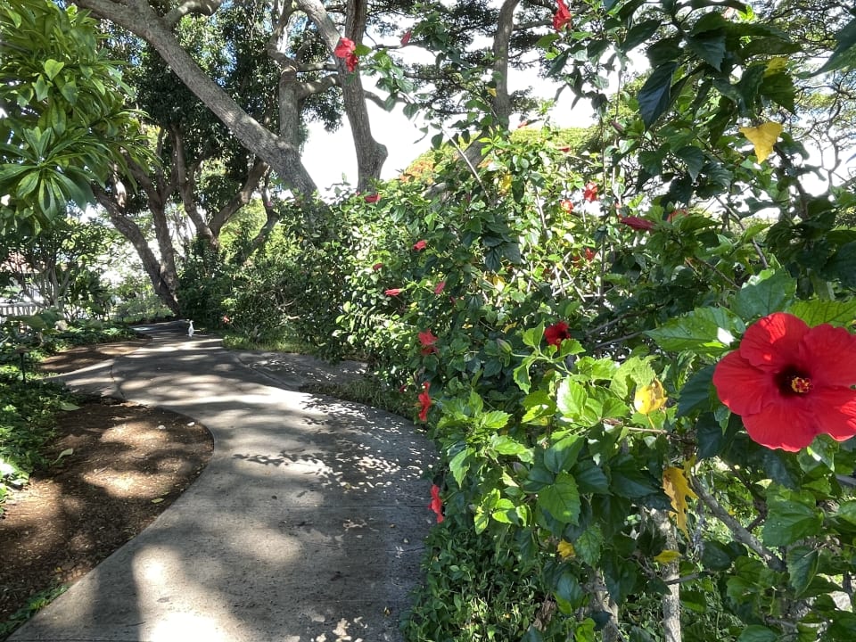 Gartenanlage Hotel Outrigger Kiahuna Plantation