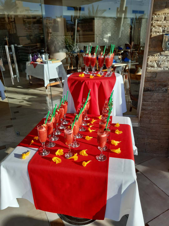 Gastro Shams Prestige Abu Soma-Adults Only