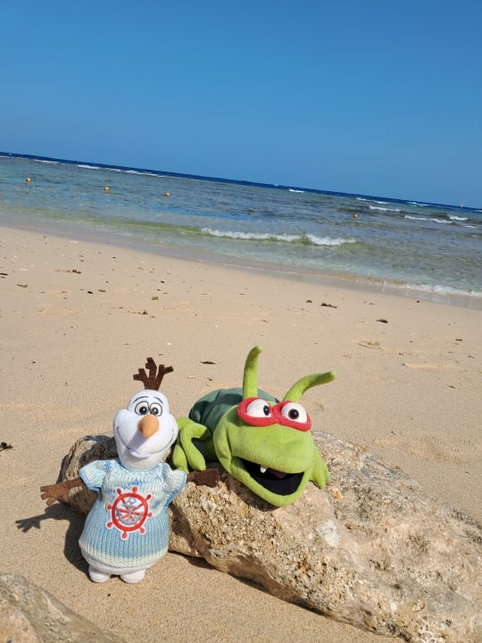 Strand Pickalbatros Palace Hotel-Port Ghalib