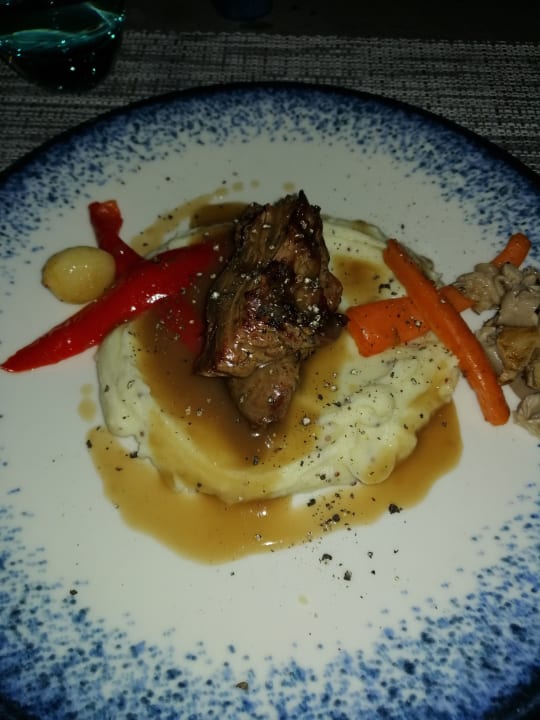 Gastro PALOMA Perissia