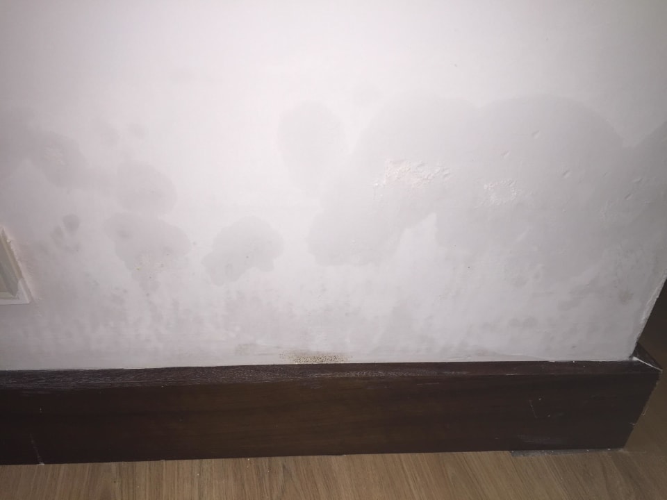 Nicht ausgetrocknet Dream World Aqua Hotel