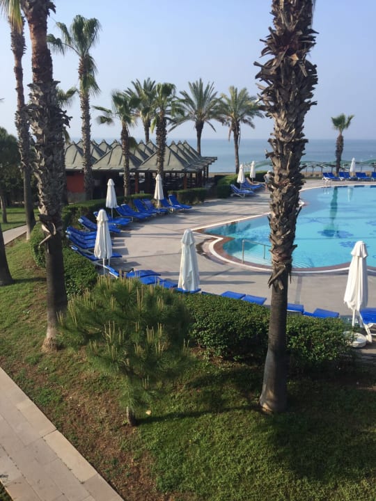 Pool Papillon Belvil