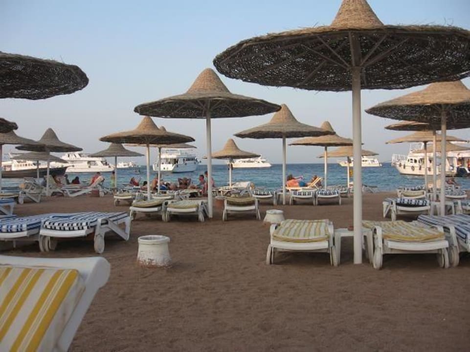 Widok z plaży Hotel Aqua Fun