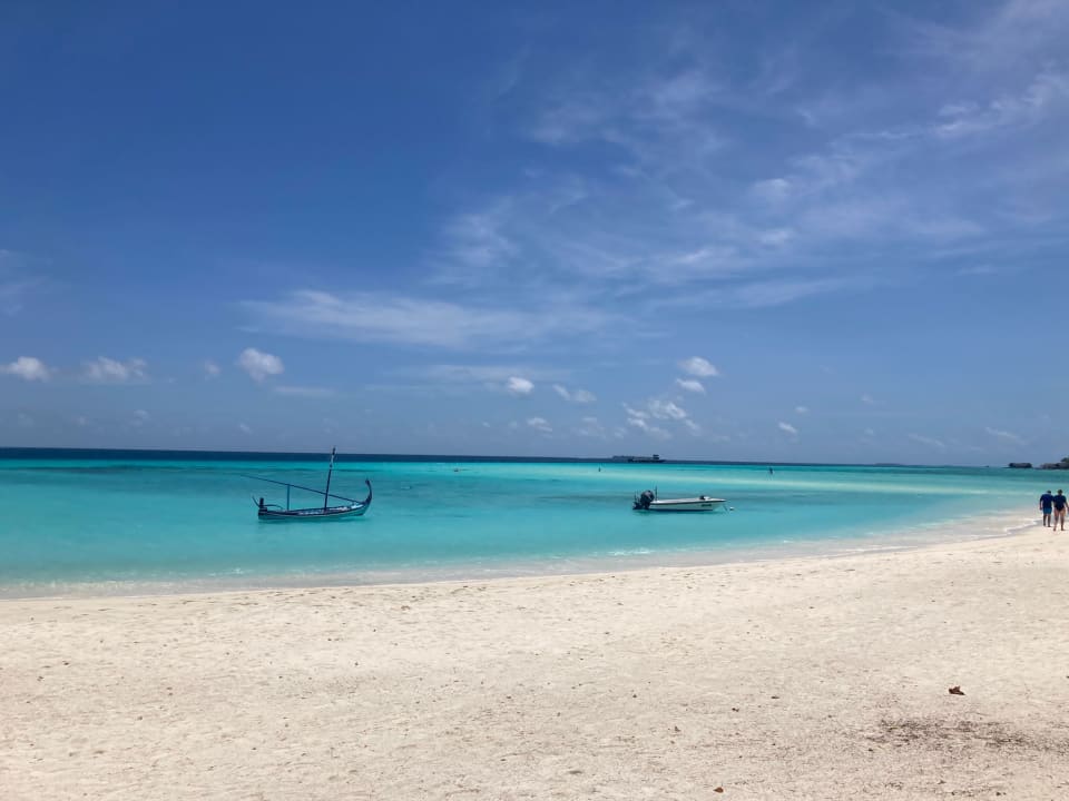 Strand Summer Island Maldives