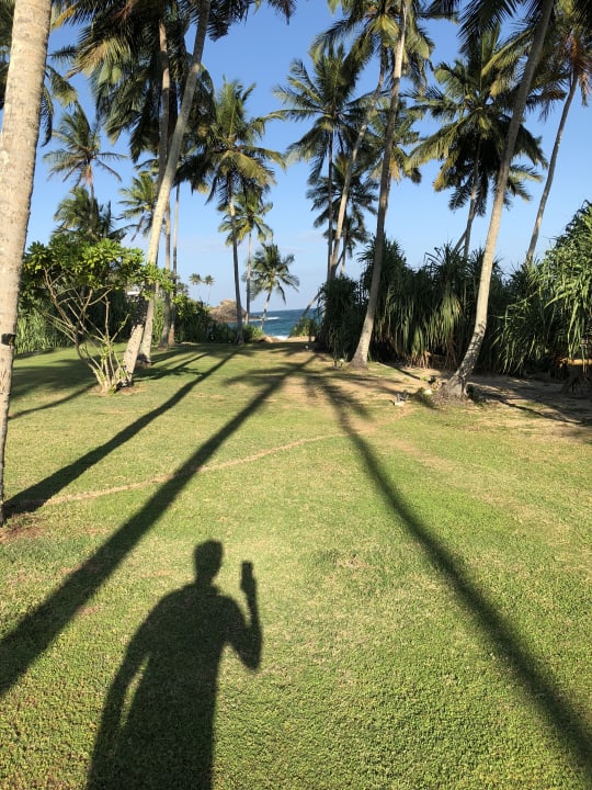 Gartenanlage Anantara Peace Haven Tangalle Resort