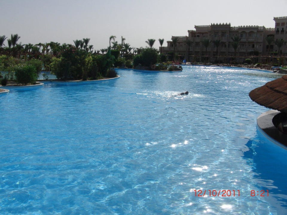 Pool Pickalbatros Palace Resort