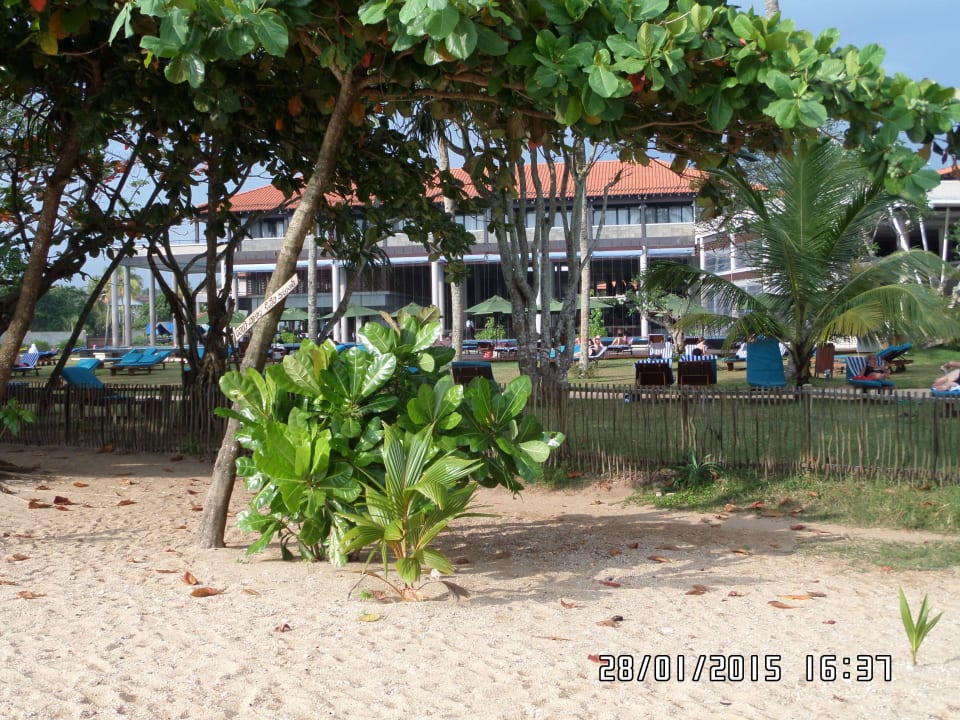 Hotel vom Strand aus Earl’s Reef Beruwala