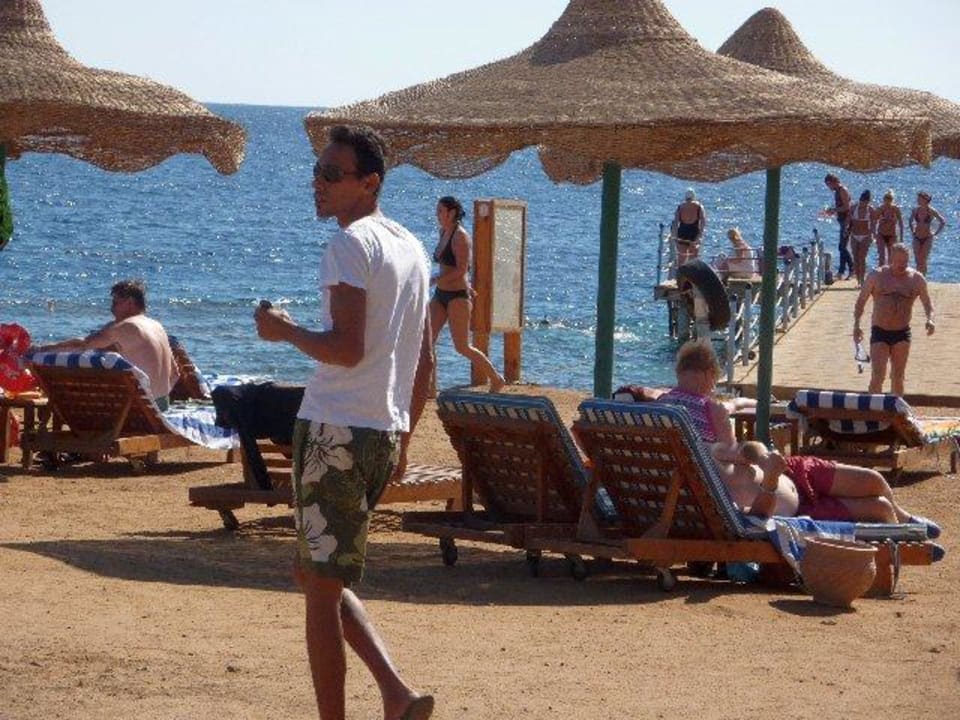 Mido auf Jagt Happy Life Village