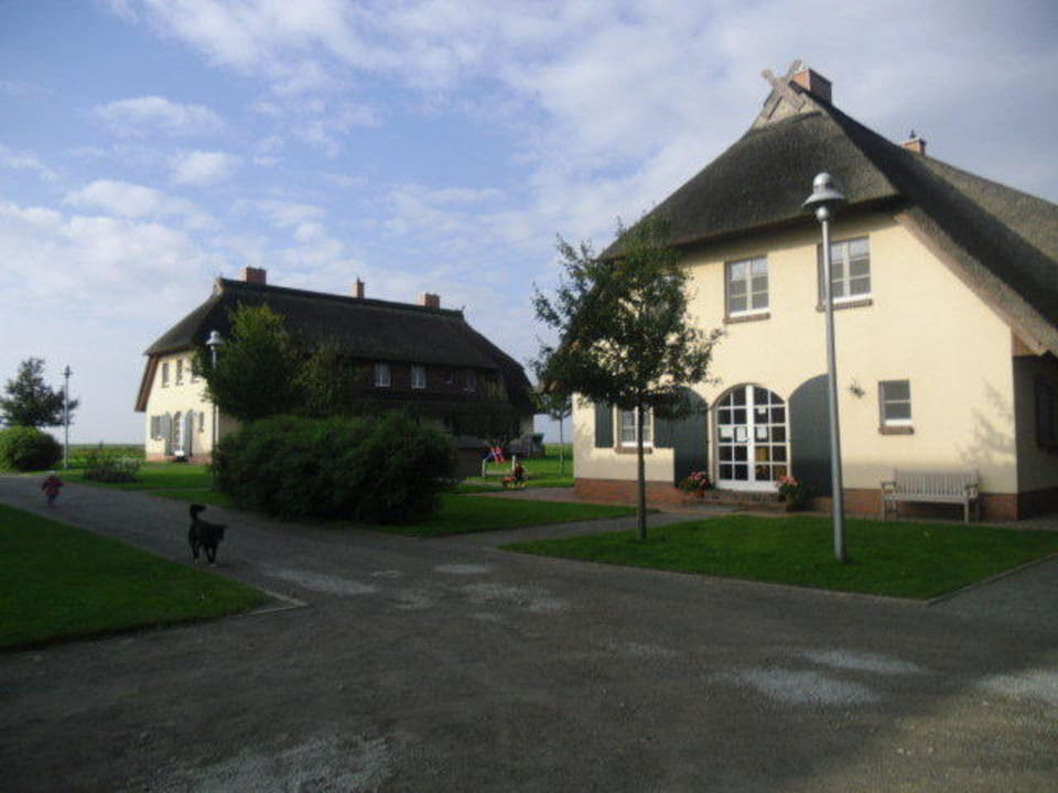 Hof Thesenvitz Rügen-Ferienhof