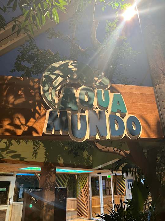 Pool Center Parcs De Kempervennen