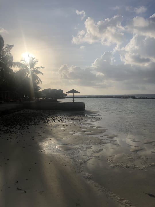 Strand Ellaidhoo Maldives by Cinnamon