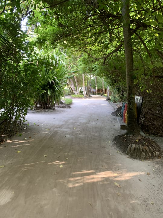 Gartenanlage Adaaran Select Meedhupparu Island Resort - Premium All Inclusive