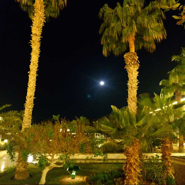 Gartenanlage The Grand Hotel Hurghada