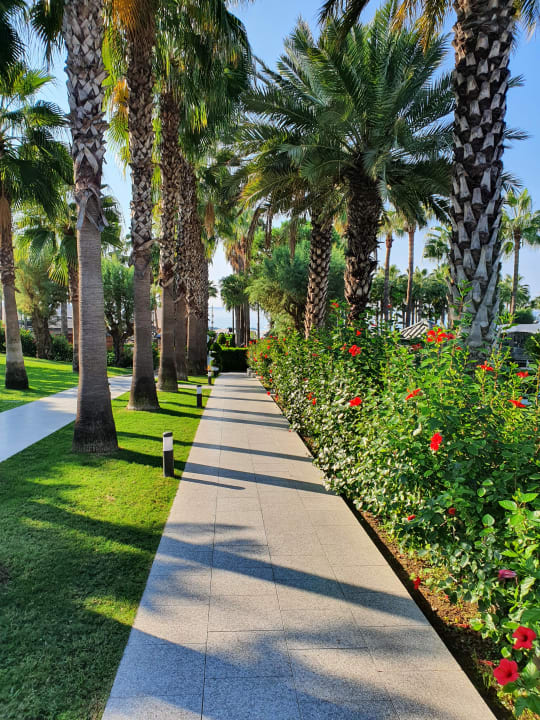 Gartenanlage Hotel Miramare Beach