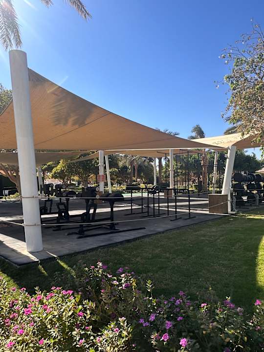 Sport & Freizeit Desert Rose