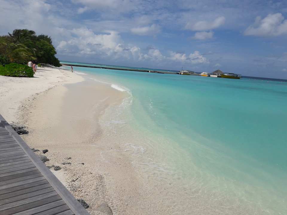 Strand Summer Island Maldives