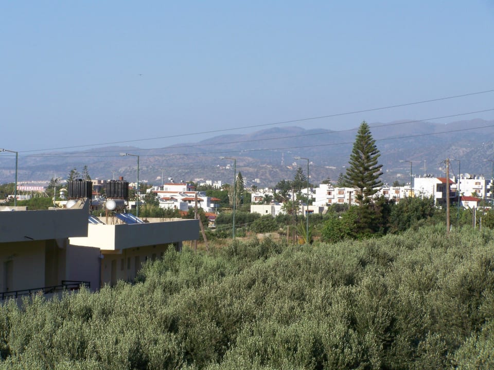 Rundumblick vom Balkon Hotel Cactus Village