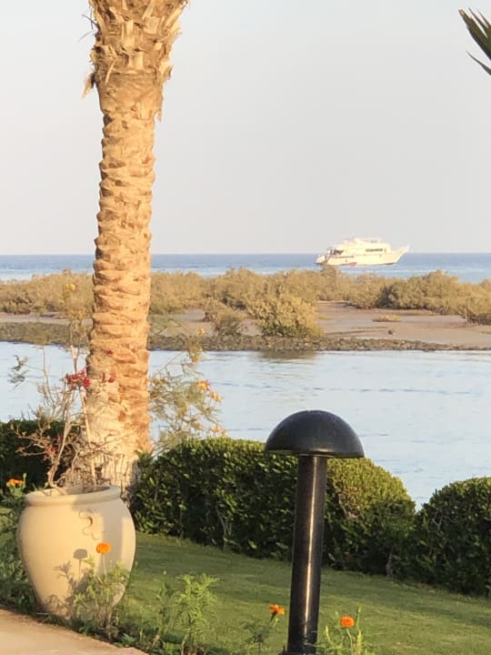 Gartenanlage Hotel Three Corners Ocean View prestige - Adults only