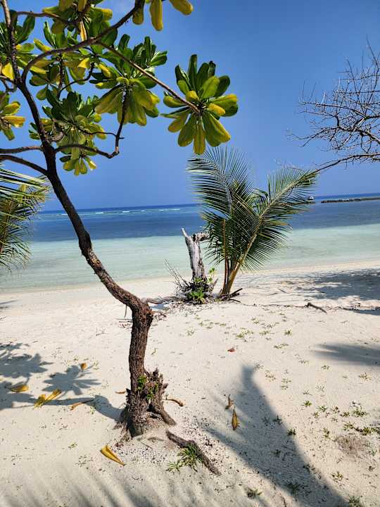 Strand Kuredu Island Resort & Spa