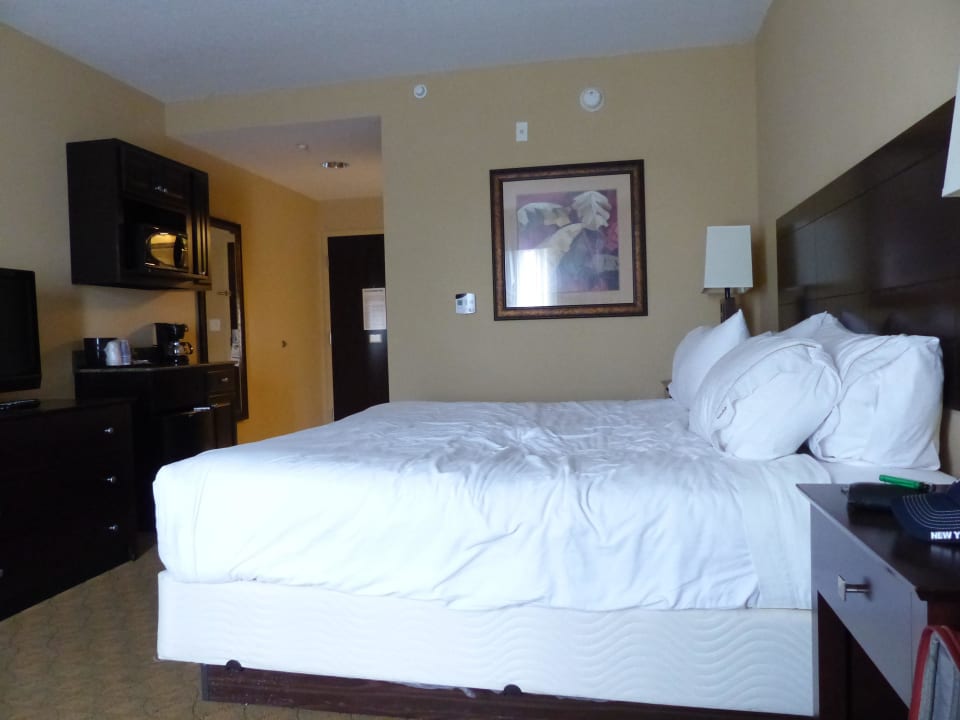Bett Holiday Inn Express Hotel & Suites Tampa USF Busch Gardens