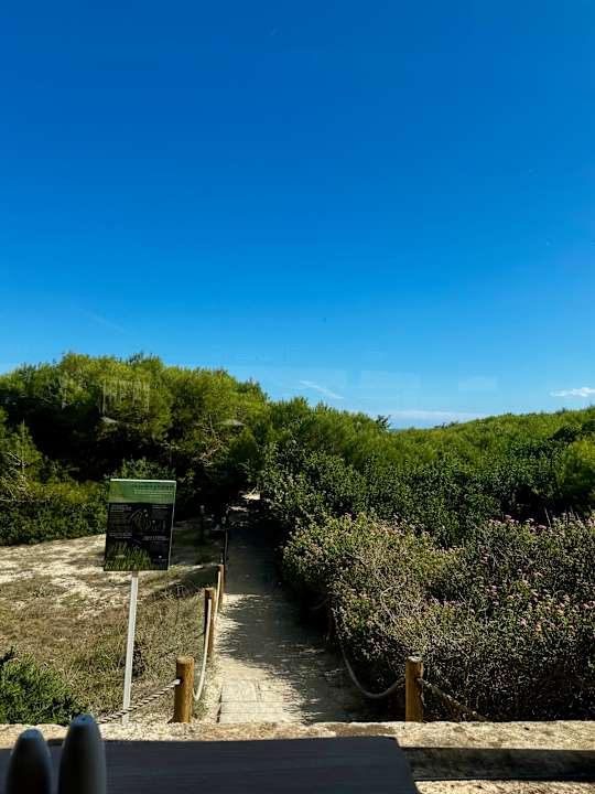 Außenansicht Iberostar Selection Albufera Park