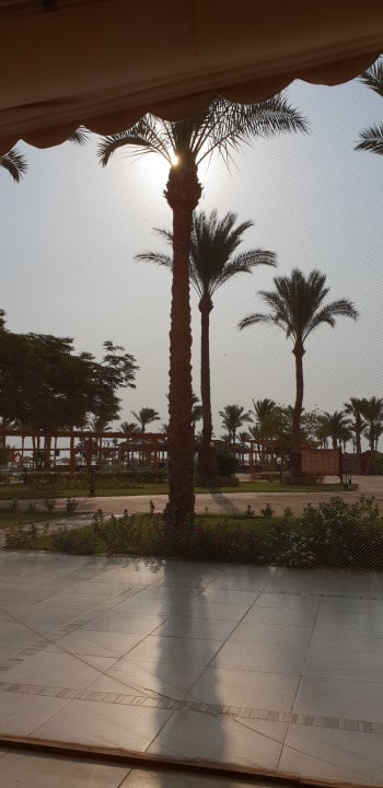 Gartenanlage Continental Hotel Hurghada