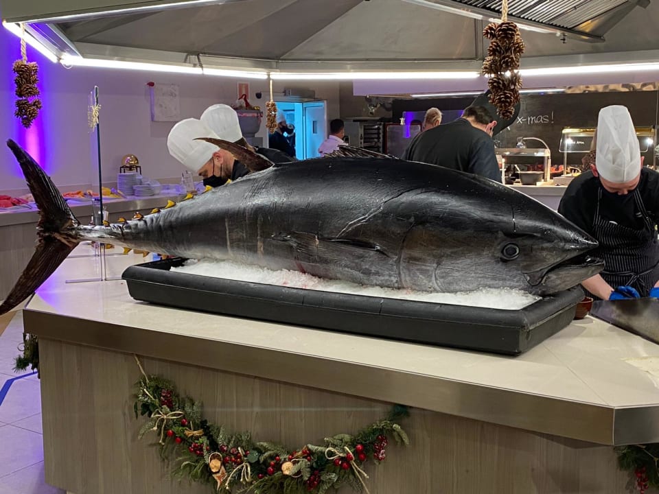 Gastro ROBINSON JANDIA PLAYA