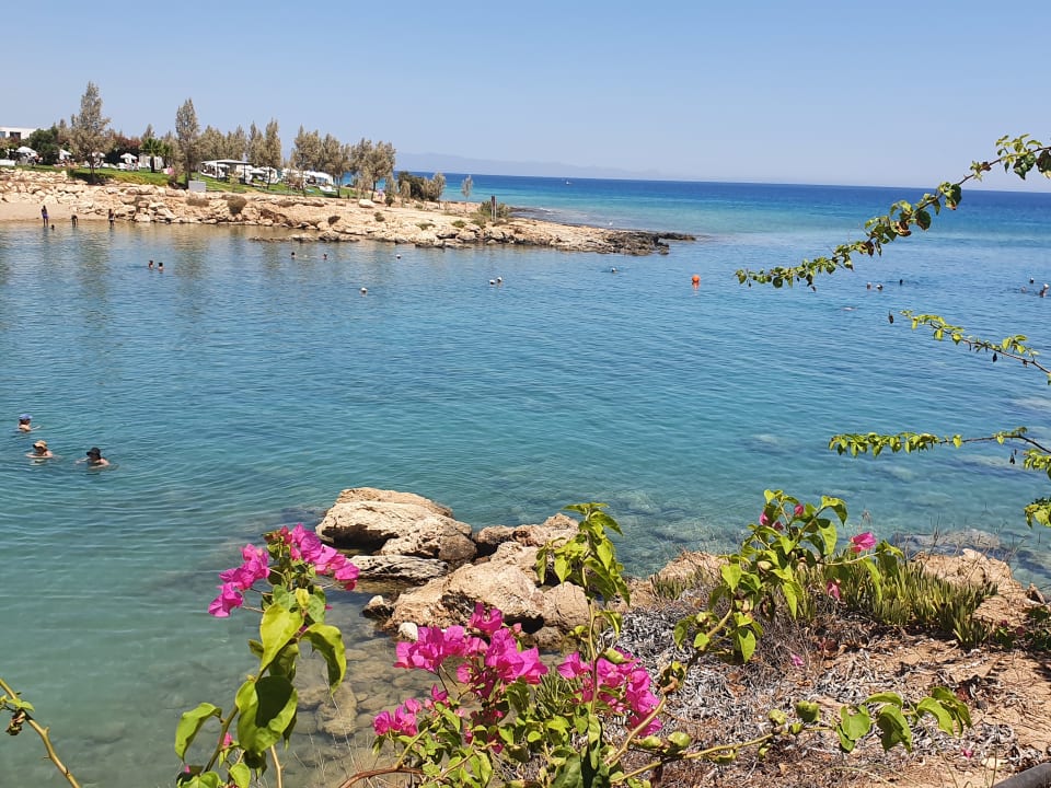 Strand Crystal Springs Beach Hotel