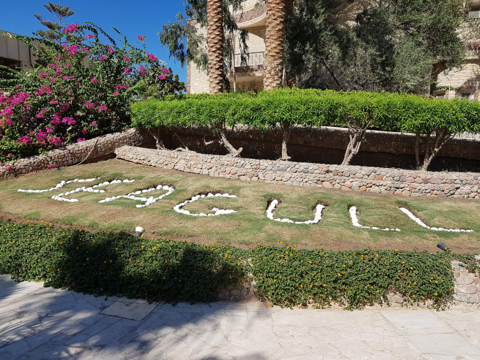 Gartenanlage Seagull Beach Resort
