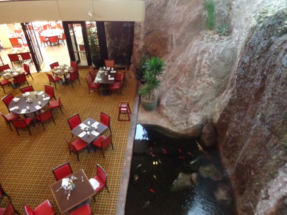Cafe Hotel The Buttes, A Marriott Resort