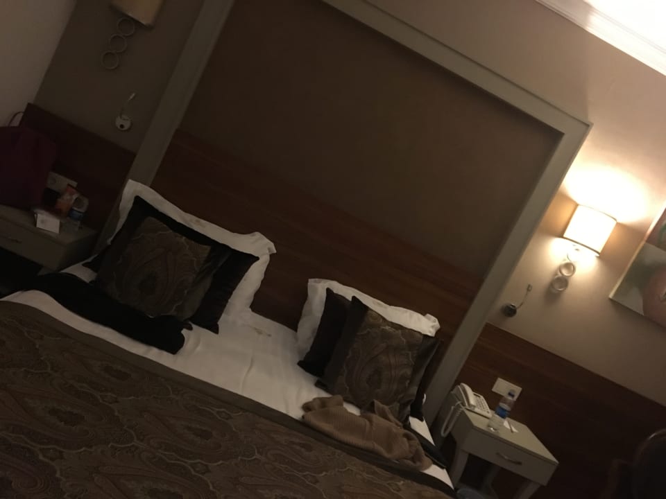 Zimmer Well Palace Side