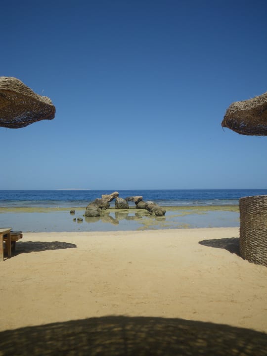 Пляж Pickalbatros Citadel Resort