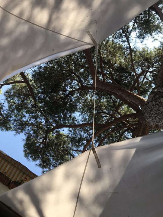 Gartenanlage Hotel Punto Verde