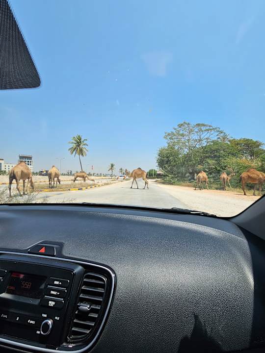 Außenansicht Hilton Salalah  Resort