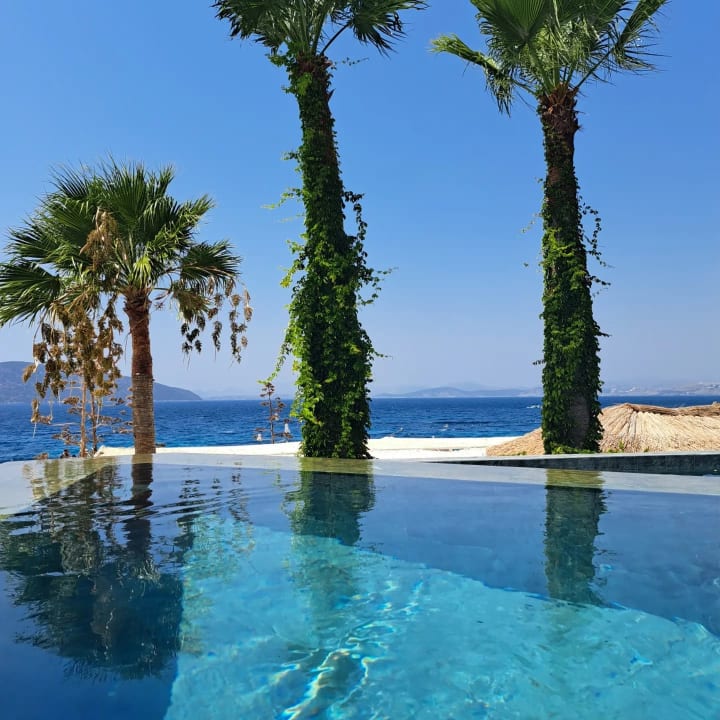 Ausblick TUI MAGIC LIFE Bodrum - Adult Only (16+)