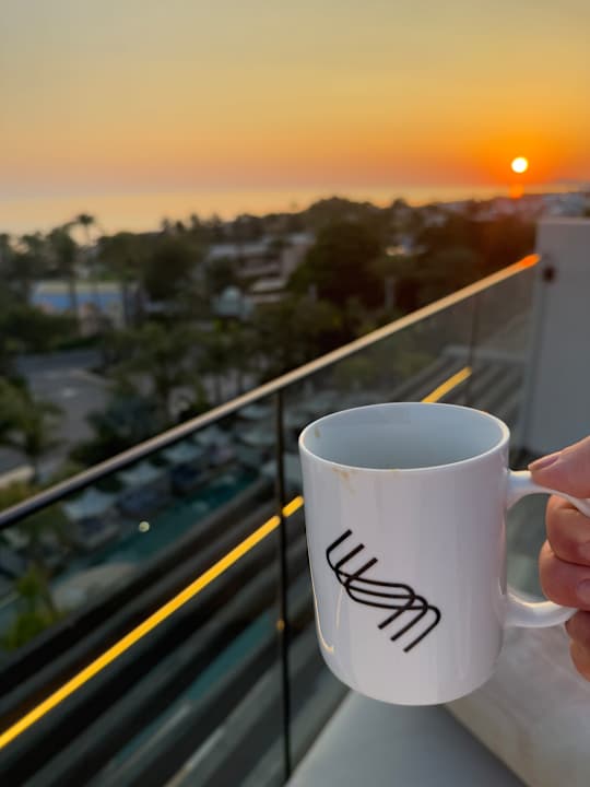 Ausblick The Syntopia