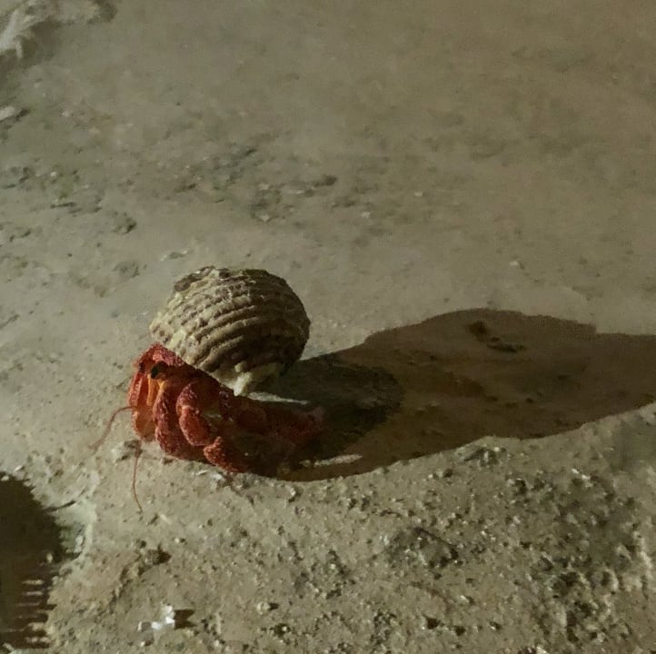 Sonstiges Adaaran Select Hudhuran Fushi - Premium All Inclusive