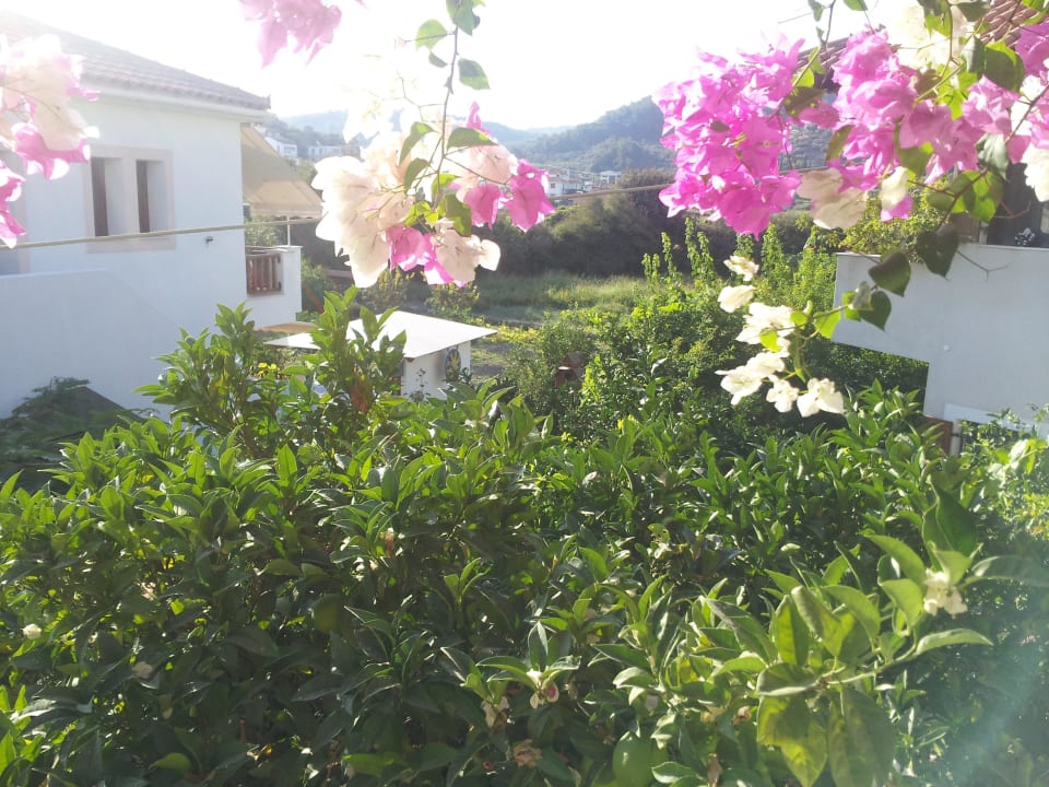 Ausblick zur Bar Hotel Golden Sun