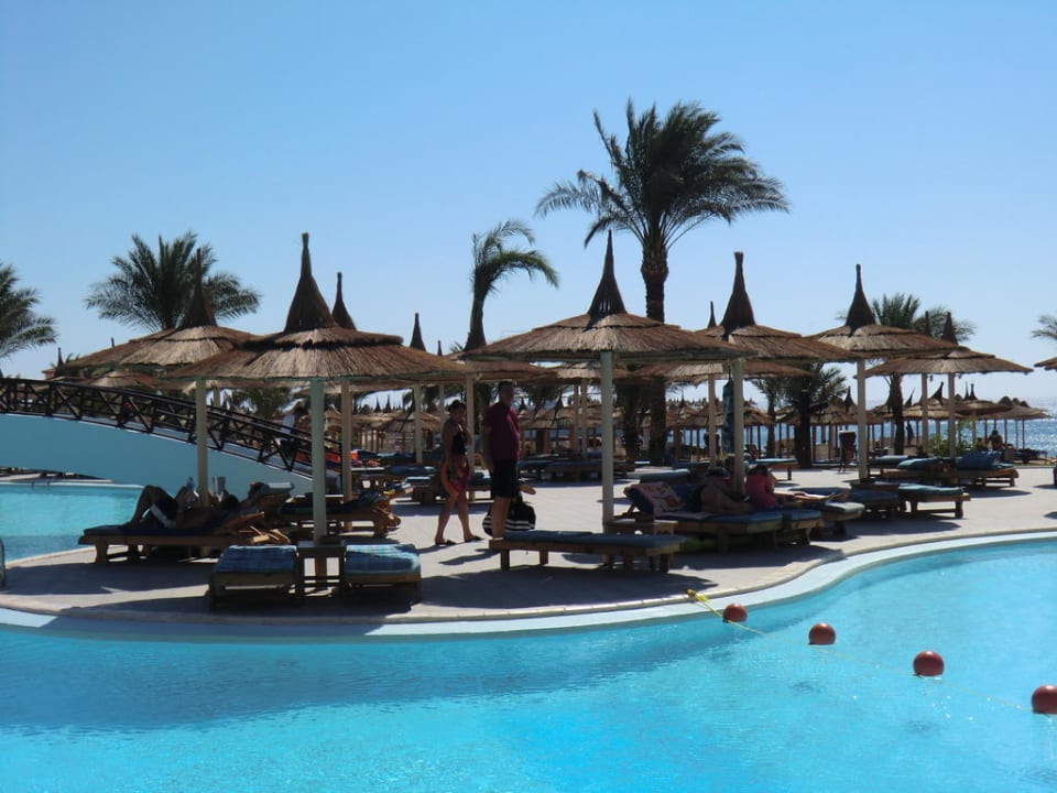 Pool sehr schön und sauber Beach Albatros Resort
