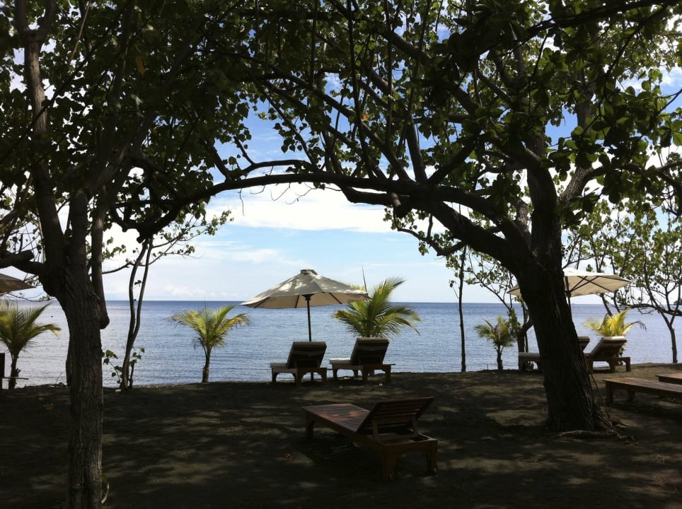 Strand mit Hotelliegen Hotel Matahari Beach Resort & Spa