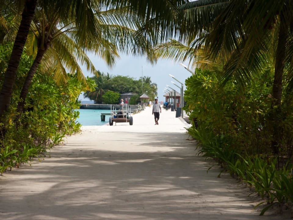 In der Anlage Kuredu Island Resort & Spa