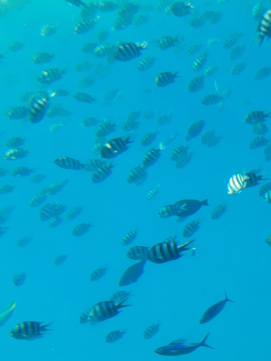 Sport & Freizeit Grand Makadi