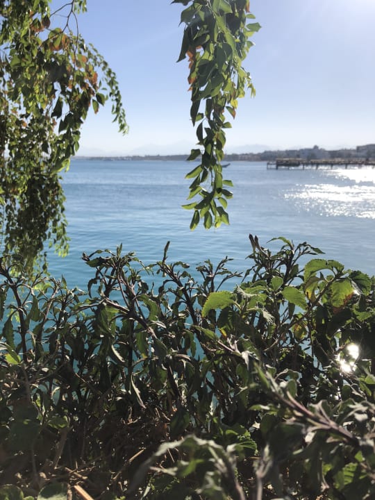 Ausblick Marriott Hurghada Beach Resort