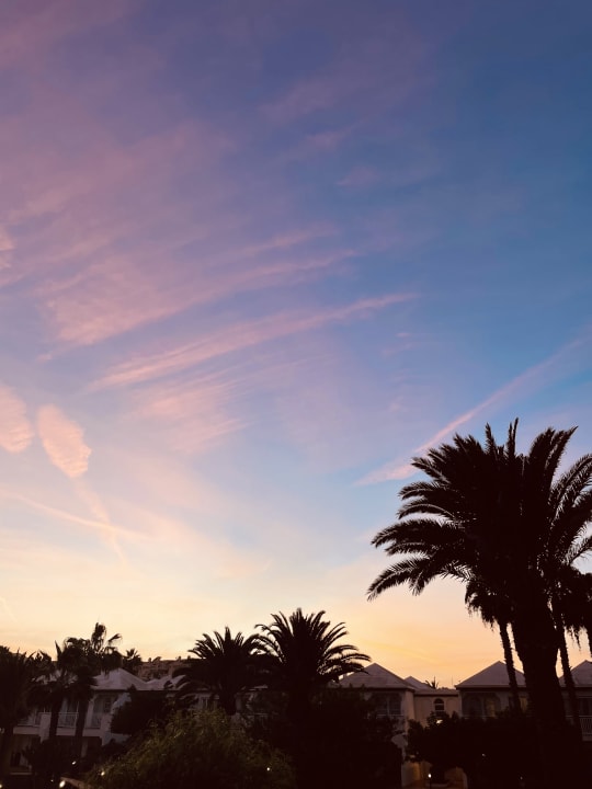 Ausblick H10 Ocean Suites