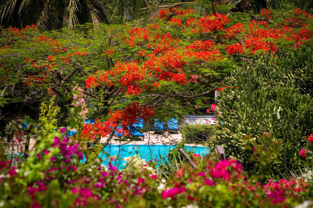 Gartenanlage Diani Sea Resort