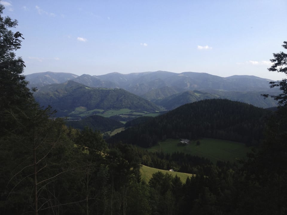 Bienenalm LUXGUT - OLIVIA