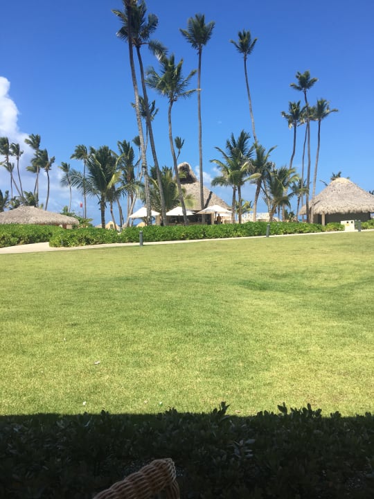 Gastro Dreams Onyx Resort & Spa